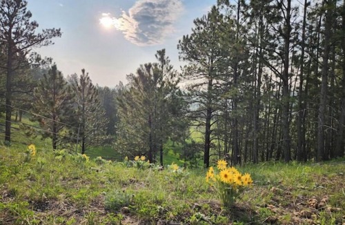 Sundance Cabin | Authentic Wyoming at Home on the Range
