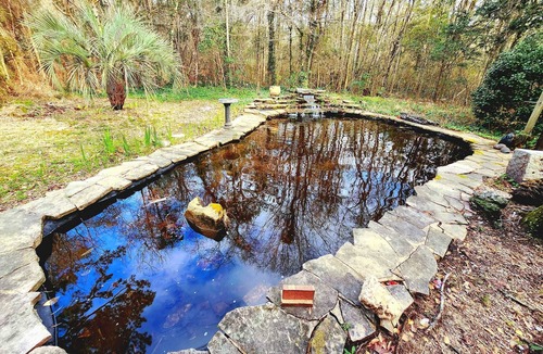 Bush Cabin | Bayou Bromeliad at Lochloosa