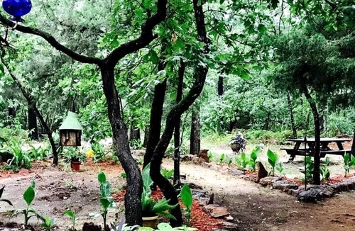 Van Zandt County Cabin | Beautiful Cabin Surrounded by Forest with Amazing Outdoor Amenities for a Peaceful Escape in the Outdoors in Ben Wheeler, Texas