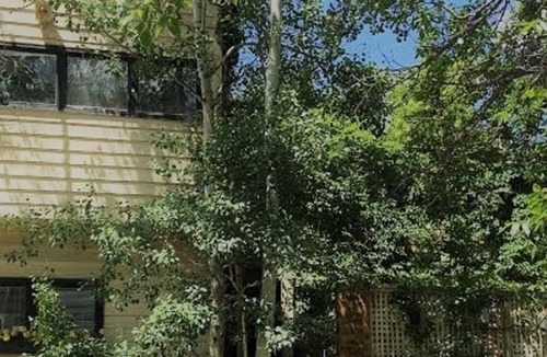 Cherry Creek House | Beautiful Cherry Creek Gem !Spring Special !