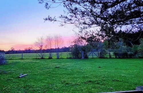 Waller County House | Beautiful Private 30 Acre Nature Retreat/Pool Ideal for family/groups sleeps 16