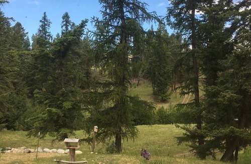Oroville House | Beautiful ranch and new house in Okanogan Highlands - 15 minutes from Oroville
