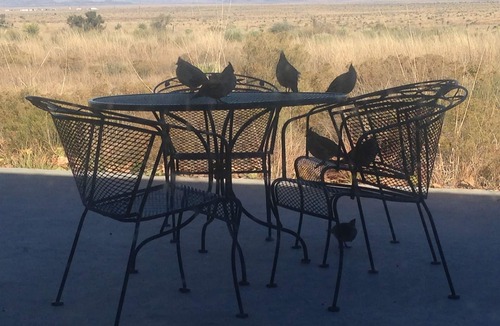 Marfa House | Best View in Marfa close to town!