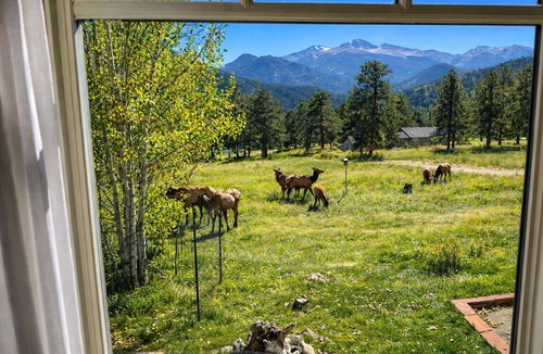 Estes Park House | Best Views-Coaster Passes-Next to RMNP-Pool-Hot Tub-Fireplace-King Bed-A/C-BBQ