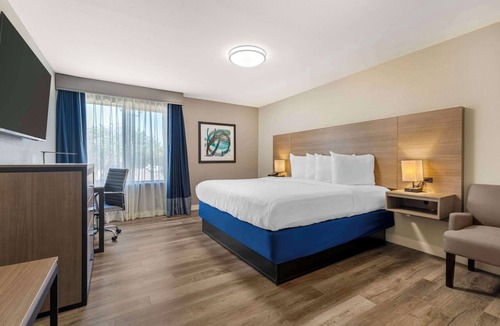 Lewisville Hotel | Best Western Plus Lewisville Flower Mound