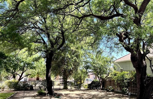 Pomerene House | Bird Lover's Paradise