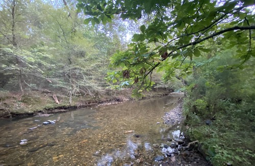 Pine Ridge RV Rental | Brookside RV Retreat Site #2-Big Fork Creek Access-Near Wolf Pen Gap