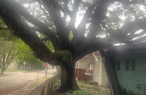 South Central Houston House | Bungalow with garage apartment in the Houston Museum District