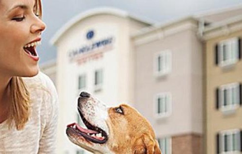 Hurst Hotel | Candlewood Suites DFW West - Hurst by IHG