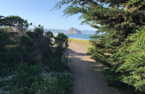 Morro Bay Cottage | Captain Java's Cottage in beautiful Morro Bay!