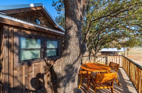 Elm Mott RV Rental | Cedar Waxwing Treehouse(15 MIN to Magnolia/Baylor)