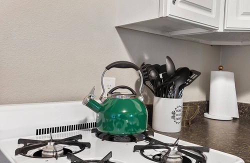 Canyon Apartment | Central Cozy 1-bedroom 15 mins to Palo Duro Canyon & across from West Texas A&M