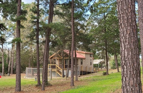 Smithville Cottage | Charming 2-bedroom cottage in the magical Lost Pines forest with AC, WiFi