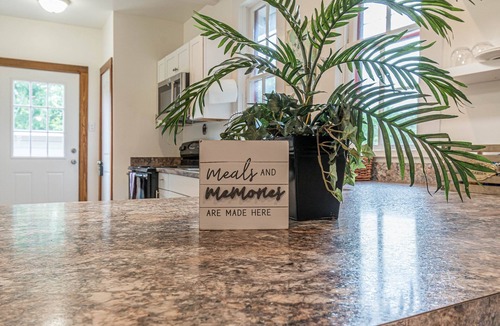 Mahncke Park House | Charming Botanical Gardens Retreat Near Fort Sam Pet Friendly Yard