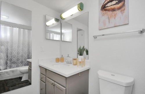 Astrodome Apartment | Charming Oasis Mins Away to MED CTR & NRG