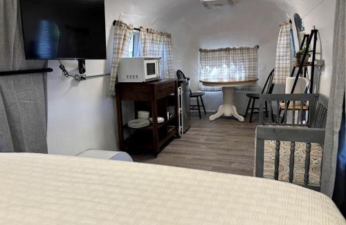Mineral Wells House | Charming Vintage Airstream with Covered Patio near Mineral Wells, Texas