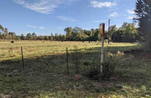 Mc Adams House | Clayhills