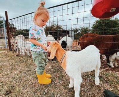 Glen Rose House | Cliffside Cabin @ High Hope Ranch Cowboy POOL!
