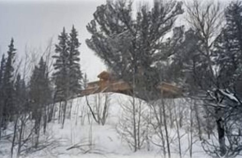 Indian Mountain Cabin | Colorado Mountain Getaway - Peace & Quiet on 6 Acres - Golf