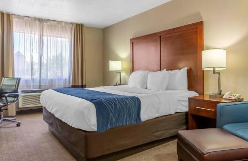 Albuquerque Hotel | Comfort Inn Albuquerque Airport
