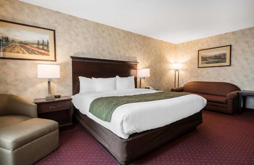 Walla Walla Hotel | Comfort Inn & Suites Walla Walla