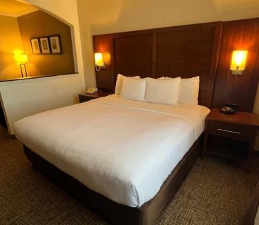 College Station Hotel | Comfort Suites Texas Ave