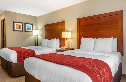 Albuquerque Hotel | Comfortable Albuquerque Hotel Rooms Near Airport with Indoor Pool - 4 Units