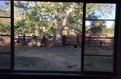 Cochise County Apartment | Comfortable, Quiet, and Remote Studio On A Working Ranch In Southern Arizona