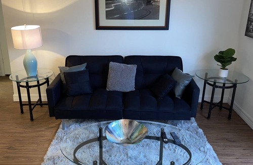 South Main Apartment | Comfy 1 BDRM 5 MIN WALK TO NRG & MED CENTER ZOO