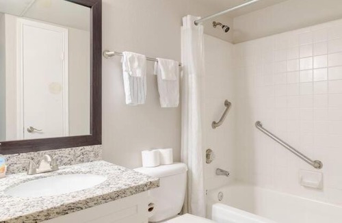 Astrodome Apartment | Comfy King 1BR facing NRG | near Med Center |RODEO