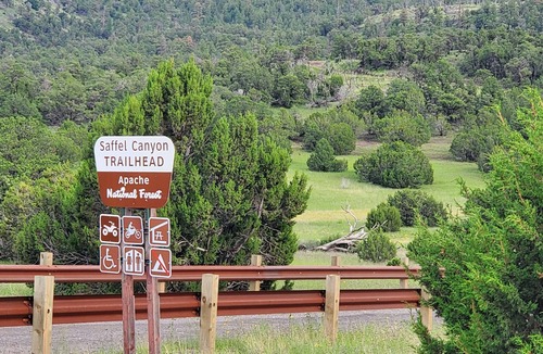Springerville House | Coolwhitemtns#pets! 3br+den2ba house 2gar+rv driveway 1 acre fenced front&back