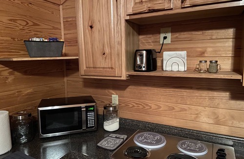 Wood County Cabin | Cozy Cabin with Panaromic View of Lake Holbrook