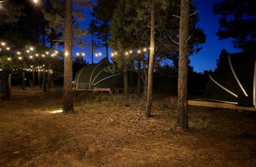 McIntosh Other | Cozy Family Glamping Escape with Heritage Orchard near Mountainair in Torreon, New Mexico
