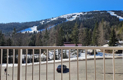 Mead Condo | Cozy Mount Spokane Condo w/Wi-Fi, access to Hot Tub, Pool and Sauna