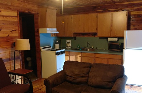Mountain Pine Cabin | COZY UNIT #2 WATERFRONT LOG CABIN
