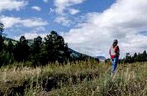 Pecos House | Create Lasting Memories: Family-Friendly Rustic Cabin in New Mexico's Backcountry