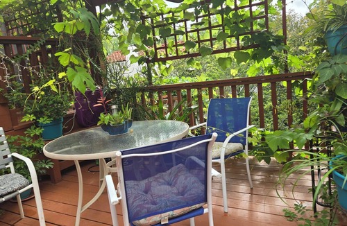 Jefferson Apartment | Deco era apt. 2, private, arty & comfortable, deck overlooking garden.