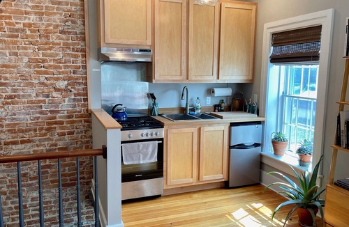 Decorah Apartment | Decorah House- Airy, modern, full of natural light, 5 blocks to downtown