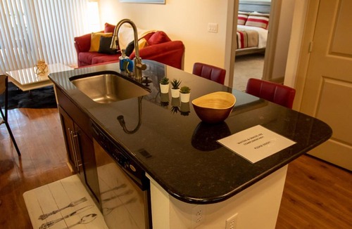 Astrodome Apartment | Discounted Penthouse w/ NRG View in the Med Ctr