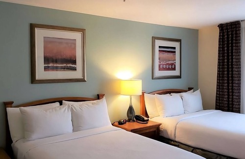 Vance Jackson Hotel | Discover Unique Activities | Free Breakfast, Outdoor Swimming Pool, Pets Allowed