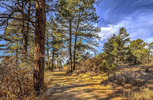 Durango House | Dog-friendly mountain home with a wood-burning fireplace, patio, & central AC