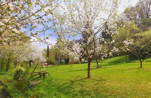 Bad Freienwalde Apartment | Double room for 2 guests with 12m² in Bad Freienwalde (Oder) (272730)