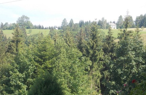 Neukirchen bei Altmunster House | Double room 4 - Moadl farm