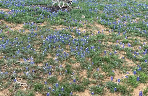 Llano RV Rental | Dry Camping! Solar Eclipse Totality!