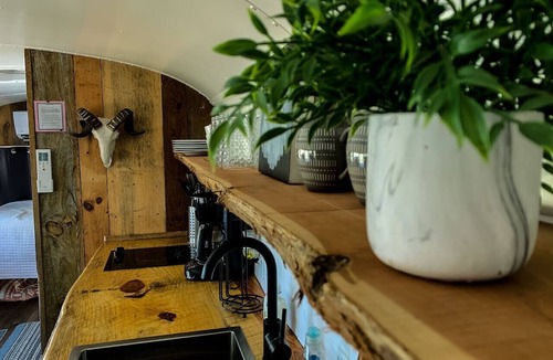 Newnata Cabin | Emerald Gypsy Skoolie. a Quirky Chic School Bus