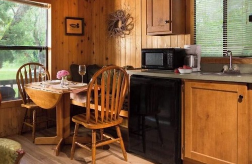 Cat Spring Cabin | Enchanted Cabin nestled in thick woods near Enchanted Lake & Private Hot Tub!