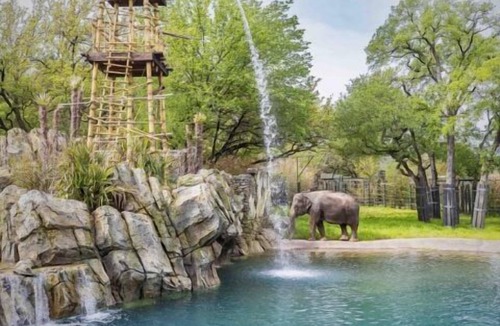 Fort Worth House | Enjoy a Hassle-Free and Suiting Stay! 3 Family-friendly Units! Indoor Pool
