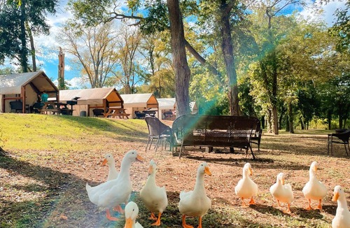Prairie Lea Cabin | Enjoy the beautiful San Marcos River in this new, nice and comfy cabin!