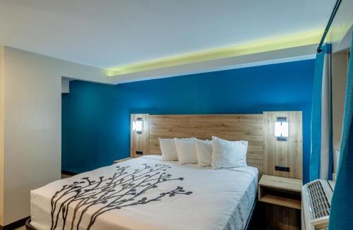 South Arlington Hotel | Exclusivo Inn by OYO Grand Prairie, TX