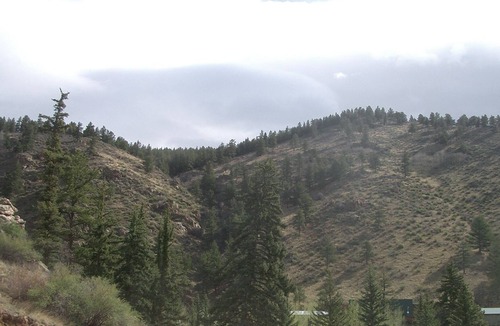 Grant Cabin | family friendly, quiet neighborhood and hiking, biking and jeep trails.